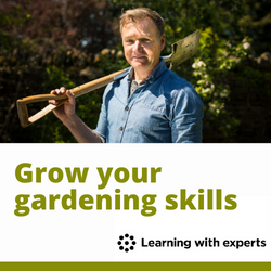 learningwithexperts.com