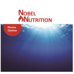 Klik hier voor de korting bij Nobel Nutrition