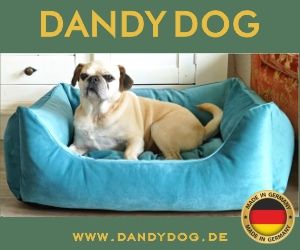 Klik hier voor de korting bij DE Dandy Dog - Der Hundeausstatter