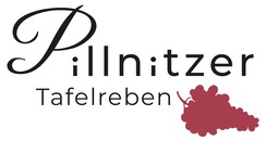 Klik hier voor de korting bij Pillnitzer Tafelreben - Weinreben und Zubeh r